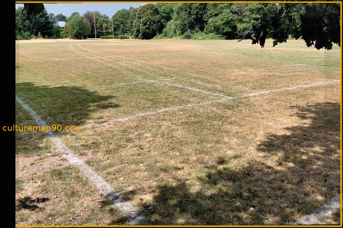 WRU Issues Pitch Safety Guidance for Hot, Dry Summer