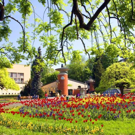 Three New Referee Coaches Certified in Vrnjačka Banja