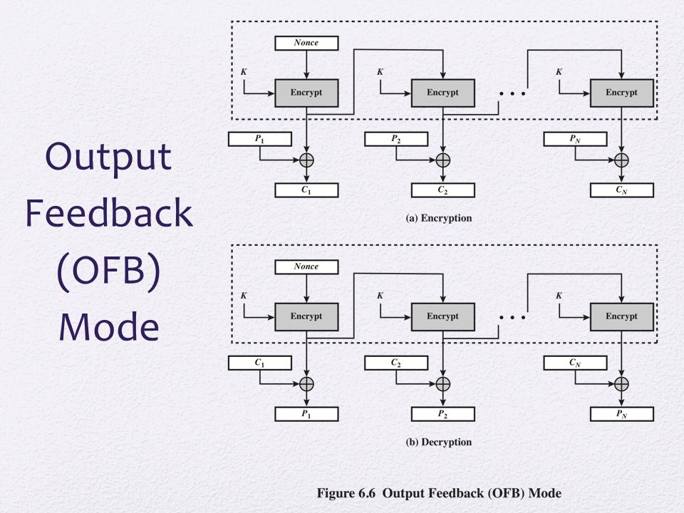 Preview PVGW 2.0 partners review feedback on educational output, discuss project legacy