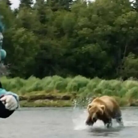 ВИДЕО: Маскот и игрок “Кракен” убегают от медведей – шокирующая история из соцсетей