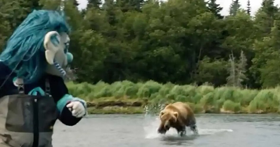 Preview ВИДЕО: Маскот и игрок “Кракен” убегают от медведей – шокирующая история из соцсетей