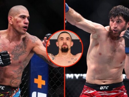 Pereira Suspects Serious Leg Injury Following Ankalaev Rematch