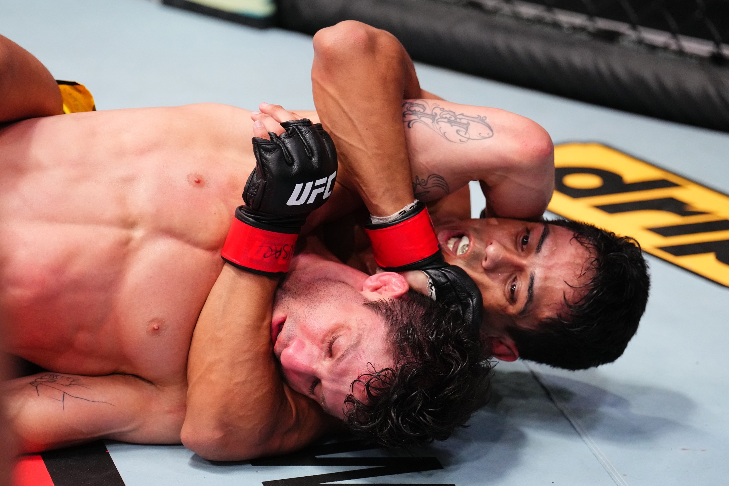 Preview UFC Fight Night 261: Jafel Filho vs. Clayton Carpenter – Flyweight Showdown