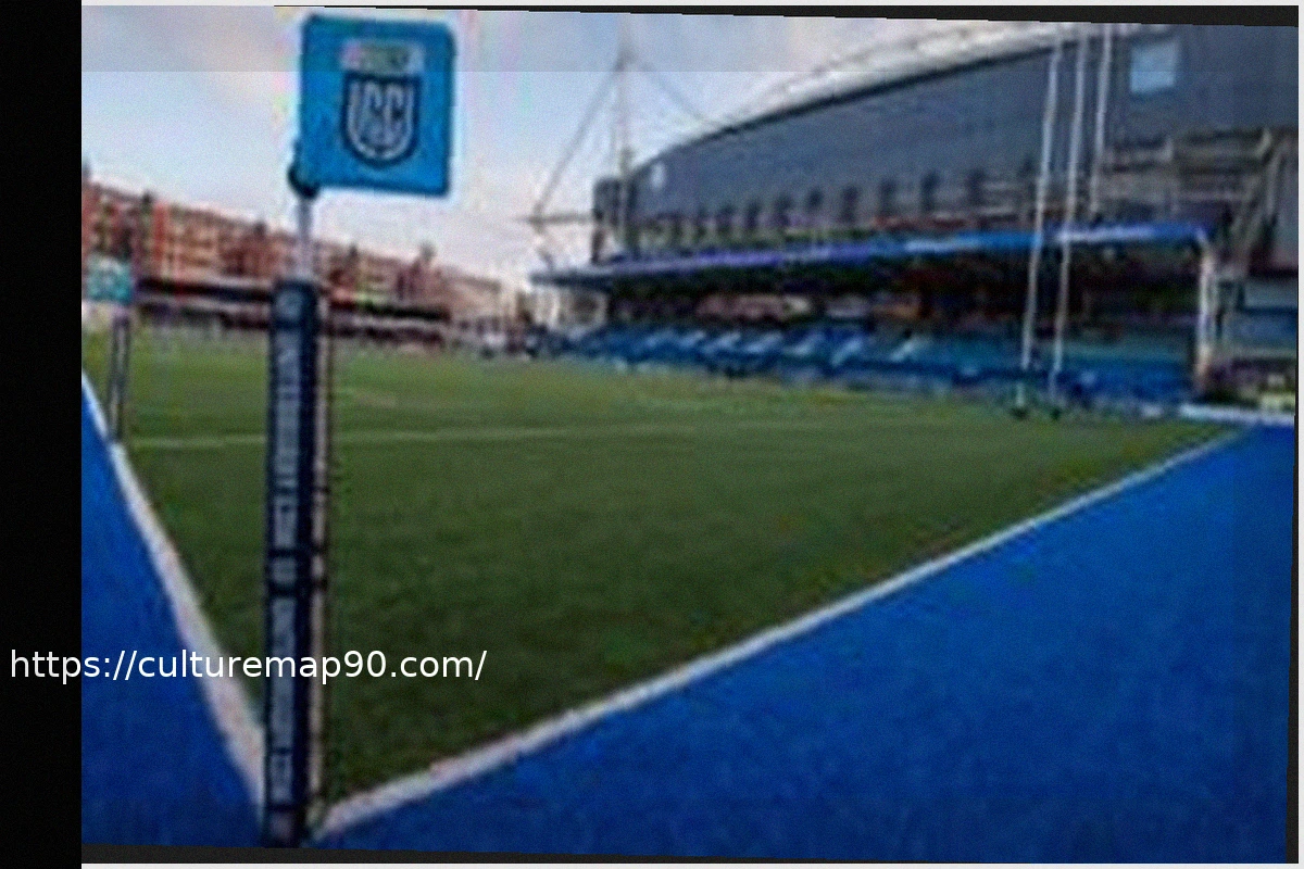 Preview Deadline for Cardiff buyout extended by WRU