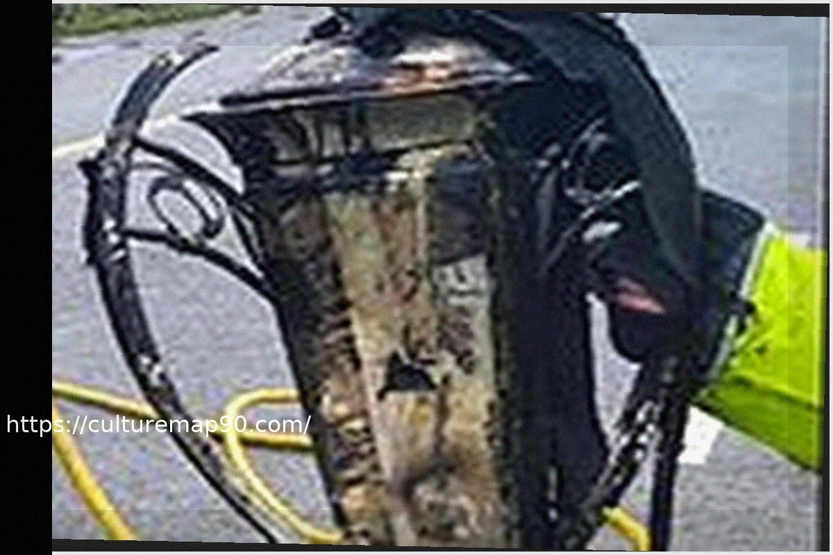 Preview Iconic Six Nations Trophy Destroyed in Van Fire, Now Retired