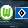 VfL Wolfsburg vs. Hamburger SV: Bundesliga Matchday 25 Preview
