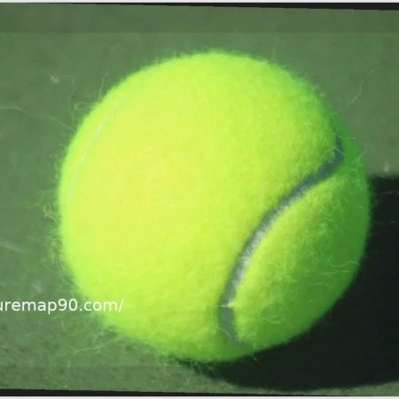 Why Tennis Tournaments Should Increase General Admission Seating