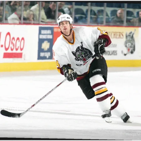 Former NHL Player Accused of Harassing Ex-Police Chief in Scituate