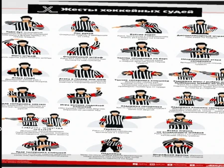 Неизвестное правило НХЛ: Игрок становится судьей при необычных обстоятельствах