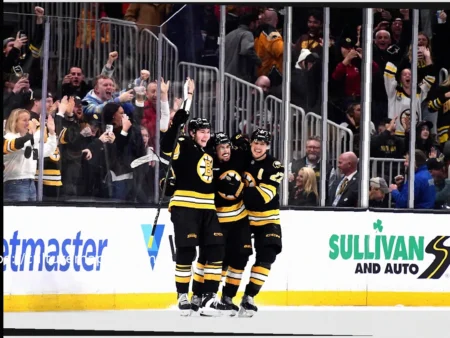 Boston Bruins vs. Buffalo Sabres Playoff Game: Viewing Information