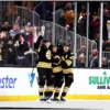 Boston Bruins vs. Buffalo Sabres Playoff Game: Viewing Information