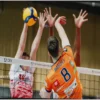 CEV Cup: Piacenza Triumphs in Ljubljana and Reaches the Final