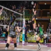 Play Off A2: Padova vs. Brescia – Championship Showdown