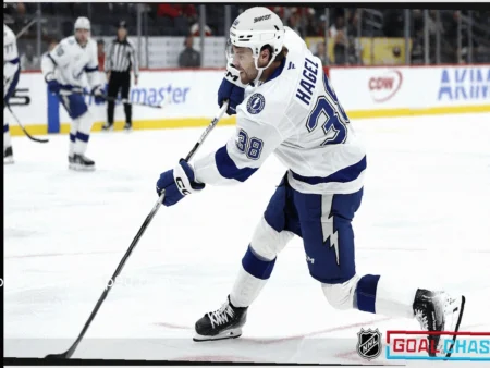 Прогнозы на матчи НХЛ: “NHL Goal Chase”