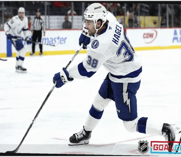 Прогнозы на матчи НХЛ: “NHL Goal Chase”