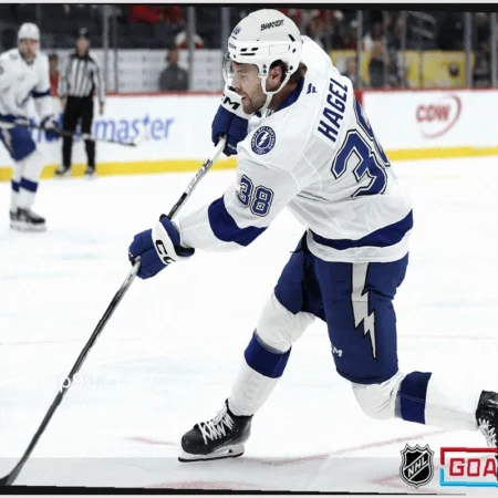 Прогнозы на матчи НХЛ: “NHL Goal Chase”