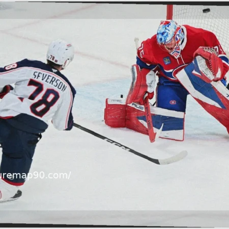 Toronto Maple Leafs: What’s Next on Their Agenda?