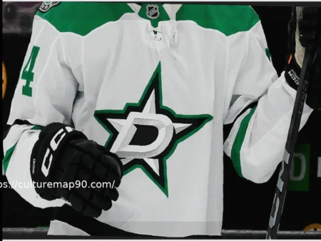 Investigation Launched After Shocking Clip Shows NHL Fans Giving Nazi Salute During Stars Game