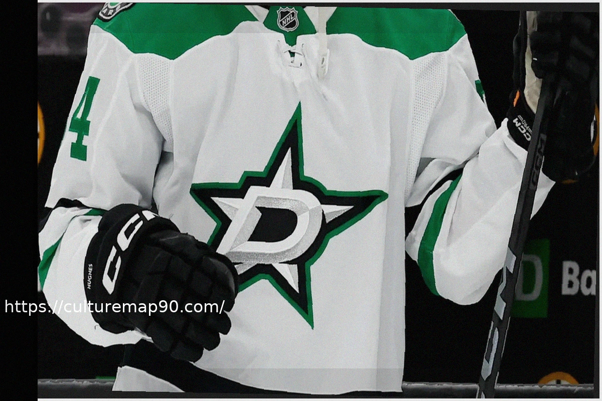 Preview Investigation Launched After Shocking Clip Shows NHL Fans Giving Nazi Salute During Stars Game