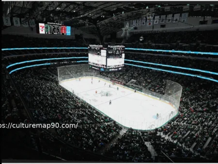 Dallas Stars Ban Fan Over Alleged Nazi Salute in Viral Video