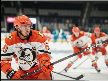 Anaheim Ducks Make Roster Changes: Tyson Hinds Recalled, Lucas Pettersson and Damian Clara Assigned