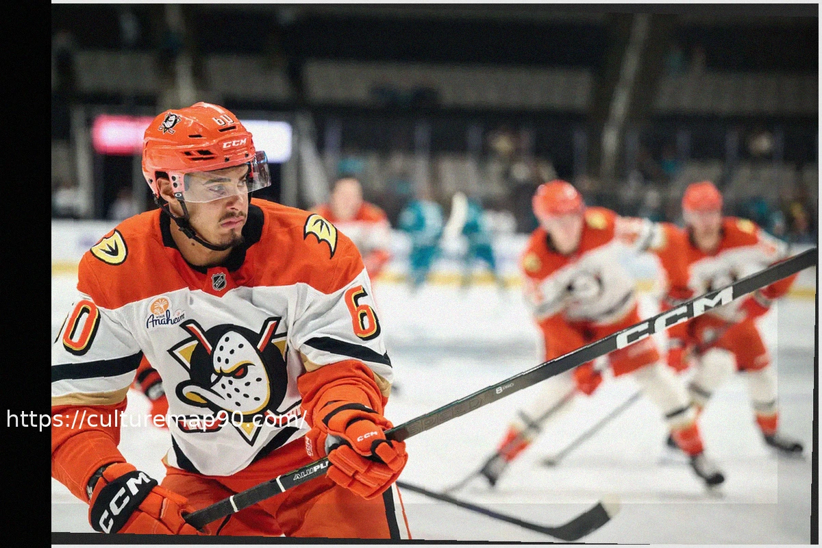 Preview Anaheim Ducks Make Roster Changes: Tyson Hinds Recalled, Lucas Pettersson and Damian Clara Assigned