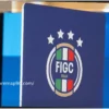 Figc Elections: How it Works and How to Vote – The Regulations