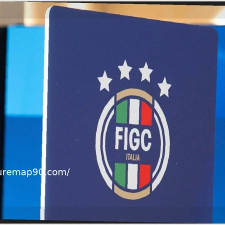 Figc Elections: How it Works and How to Vote – The Regulations