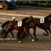 Torino, Ice Wise As e Ilias d’Arc volano in finale alle Breeders Course