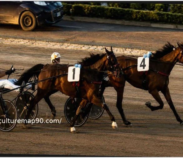 Torino, Ice Wise As e Ilias d’Arc volano in finale alle Breeders Course