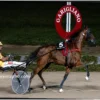 Funny Gio Dominates Gran Premio Freccia d’Europa at Garigliano
