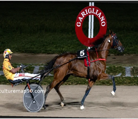 Funny Gio Dominates Gran Premio Freccia d’Europa at Garigliano