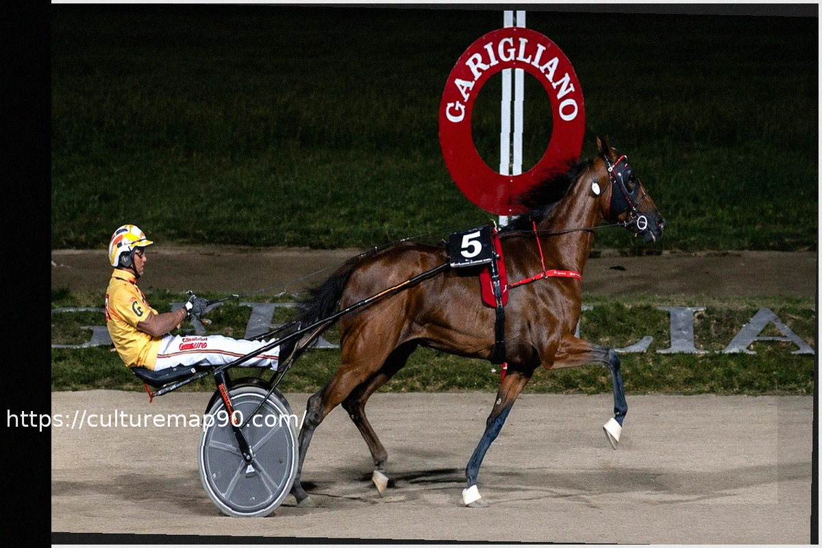 Preview Funny Gio Dominates Gran Premio Freccia d’Europa at Garigliano